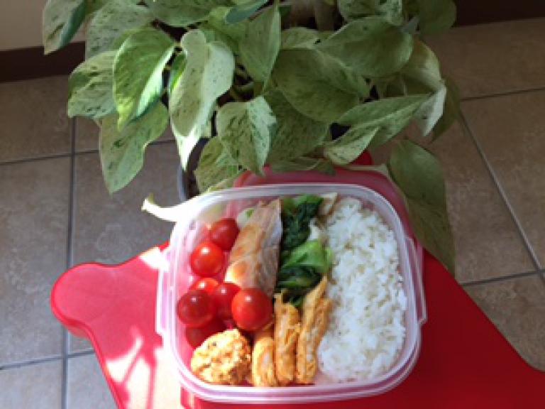 image 弁当＼(^o^)／