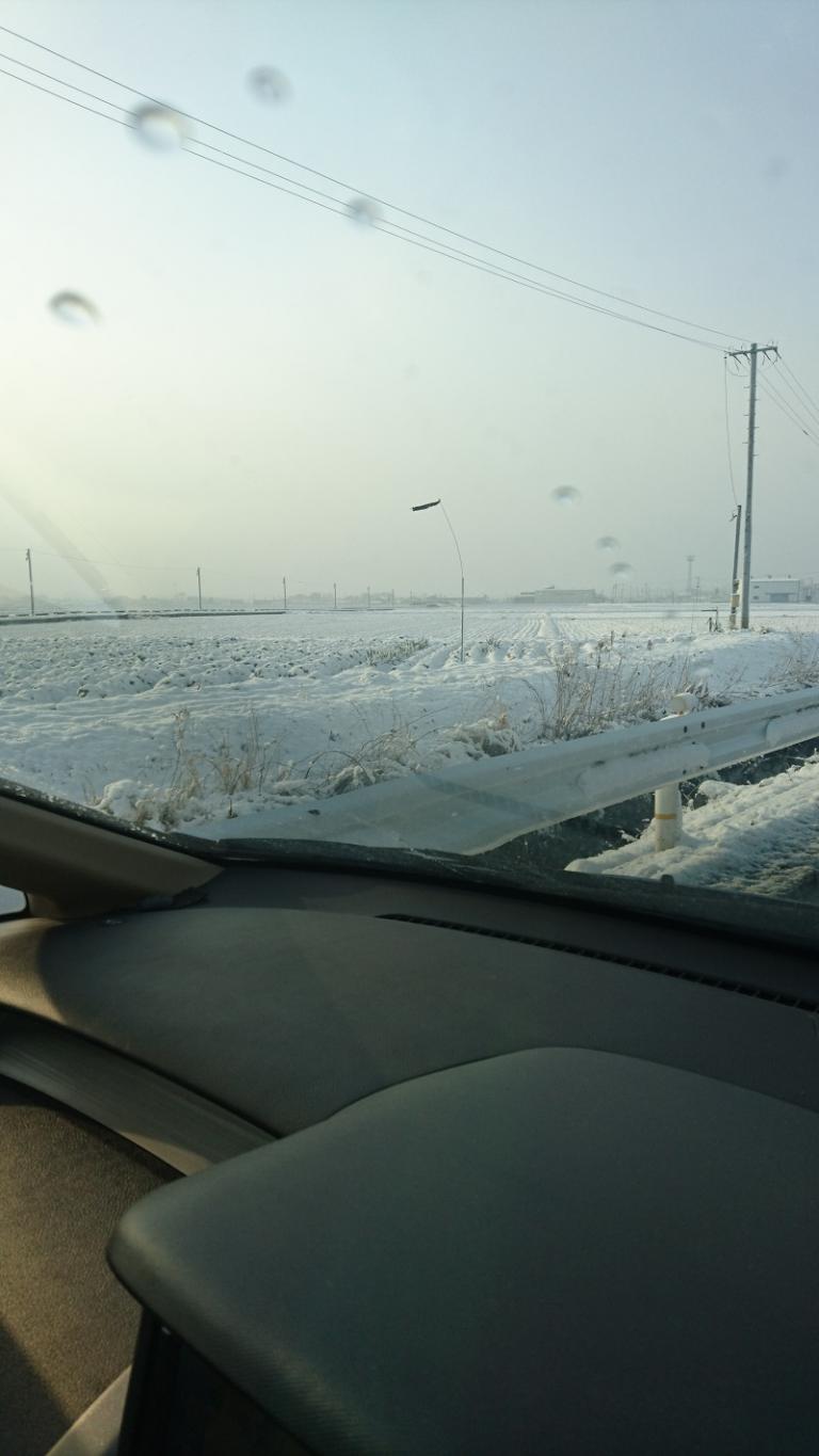image 今日も真っ白