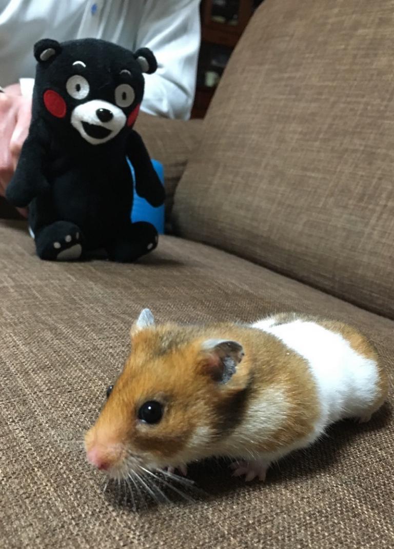 image 見えてますよ～