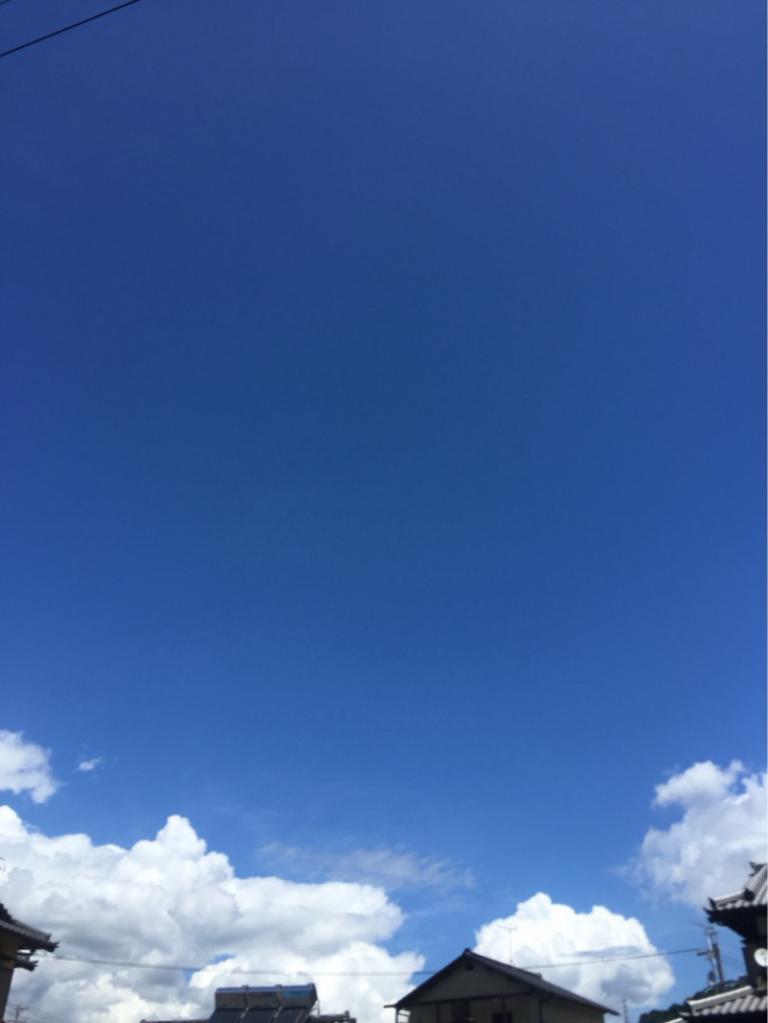 image 夏本番！