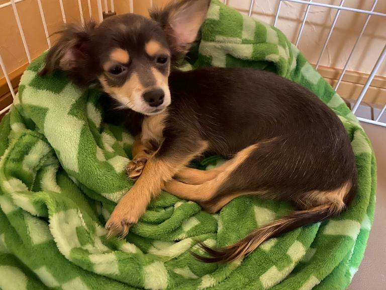 image こまさん日記