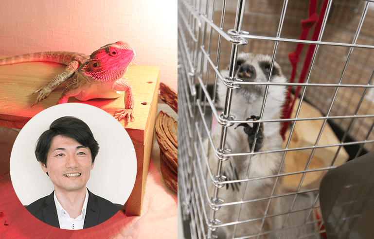 お客様の声K様邸
